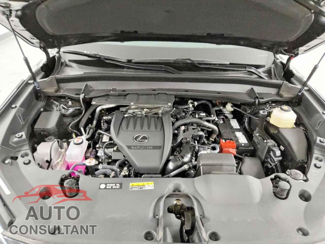 LEXUS UNKNOWN 2026 - 5TDAAAB64TS049504