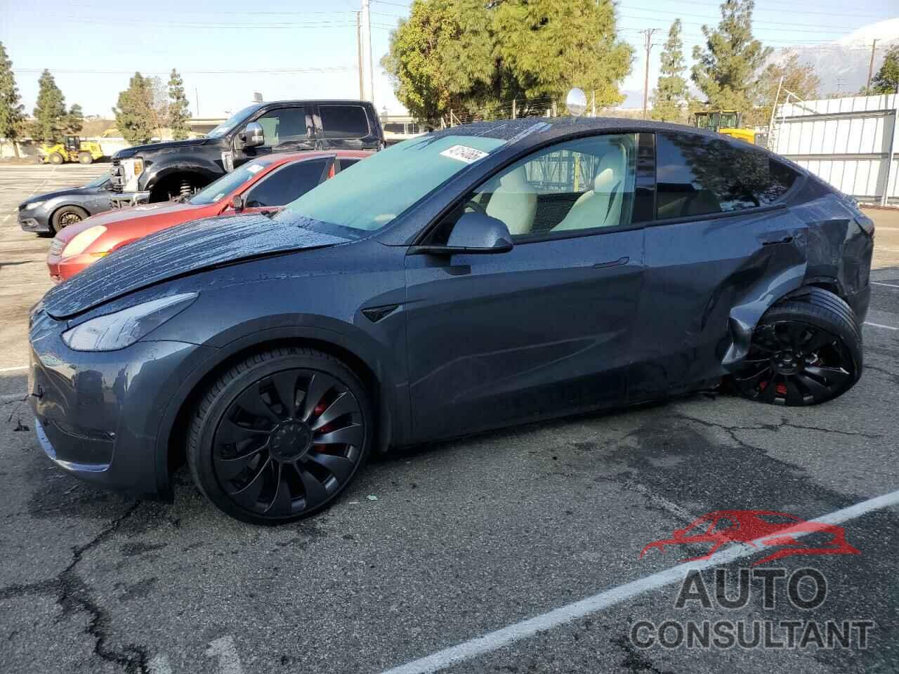 TESLA MODEL Y 2022 - 7SAYGDEF2NF563713