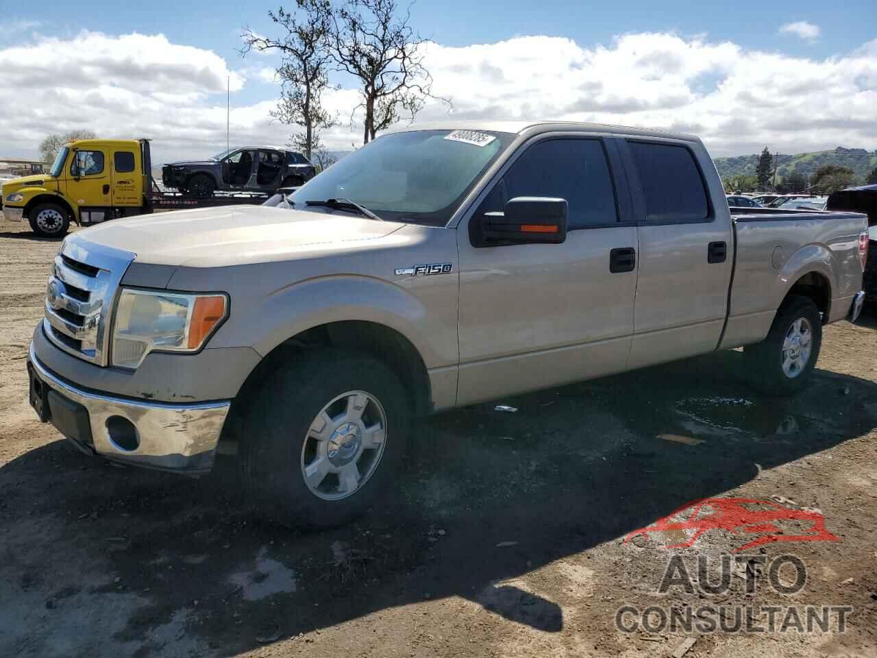 FORD F-150 2010 - 1FTEW1C87AKA25821