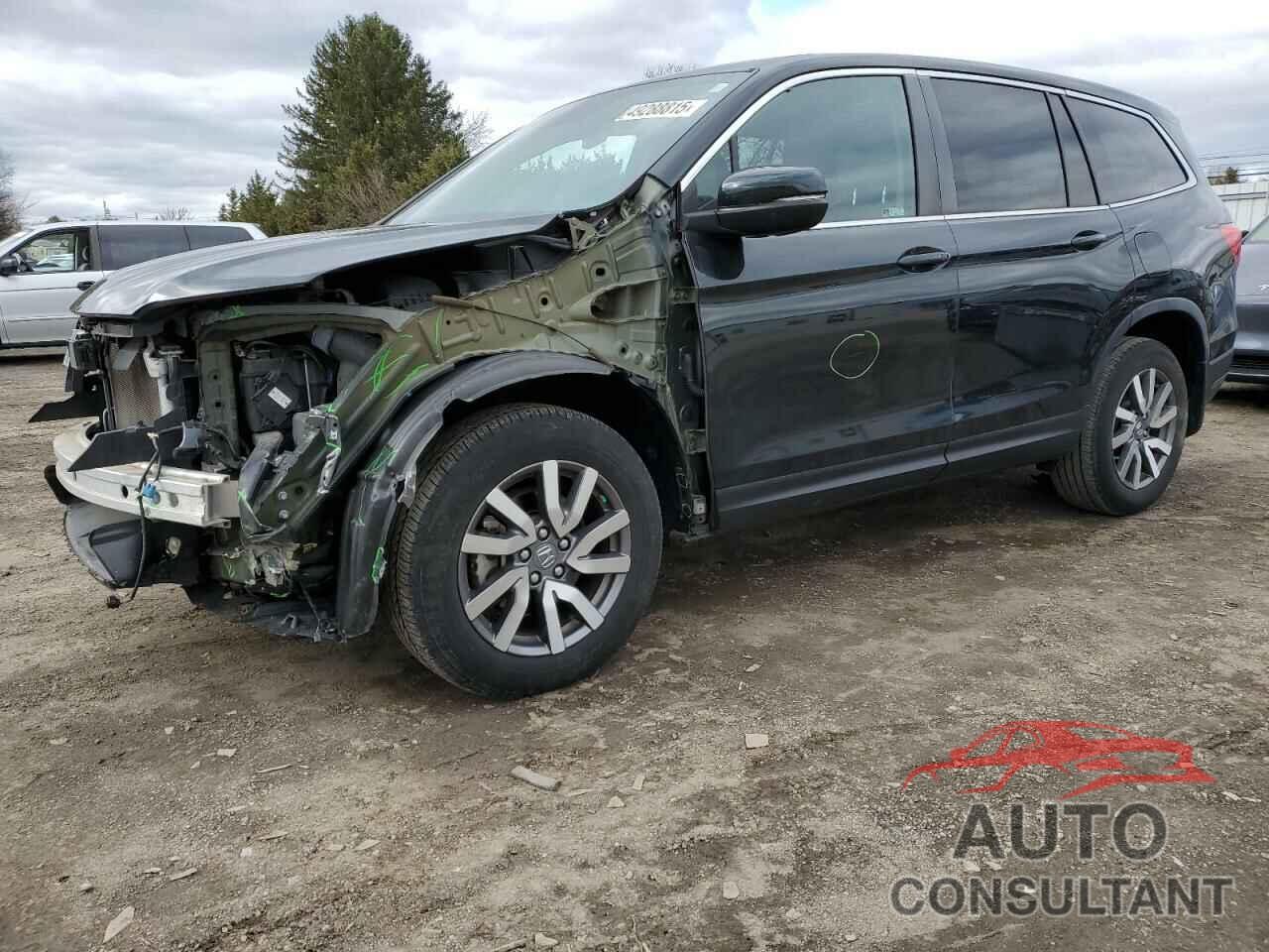 HONDA PILOT 2019 - 5FNYF6H55KB018938
