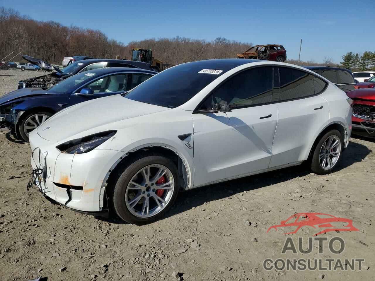 TESLA MODEL Y 2023 - 7SAYGAEE4PF594793