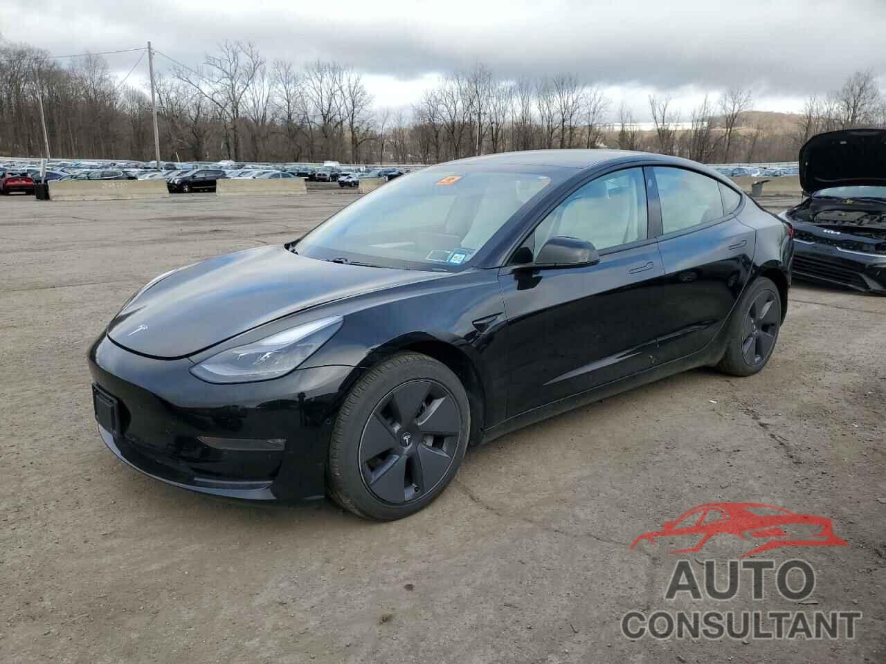 TESLA MODEL 3 2021 - 5YJ3E1EB0MF981212