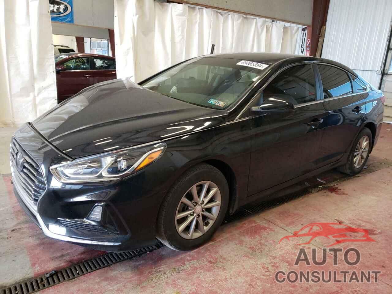 HYUNDAI SONATA 2019 - 5NPE24AF2KH797660