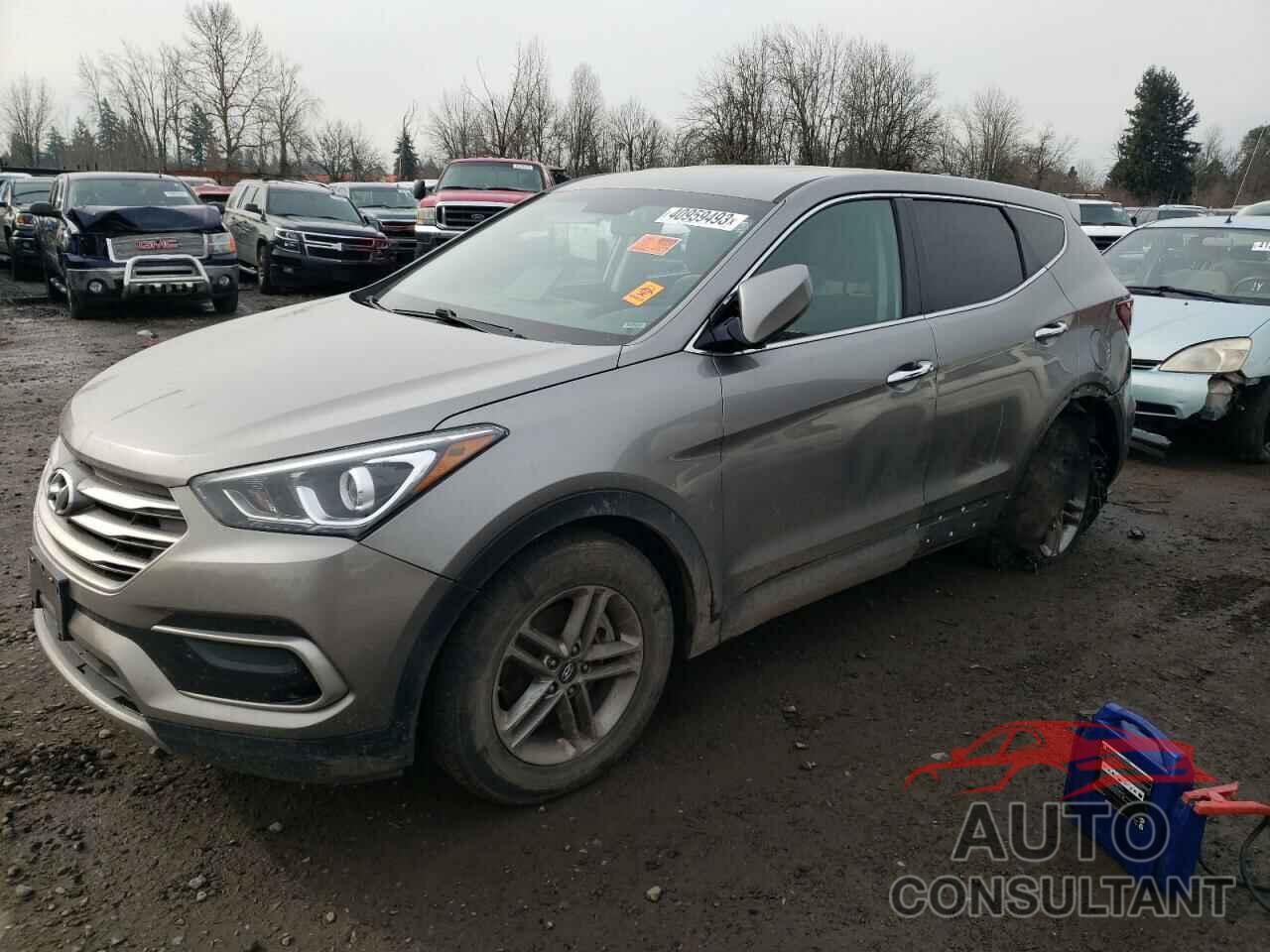 HYUNDAI SANTA FE 2017 - 5NMZTDLB7HH027209