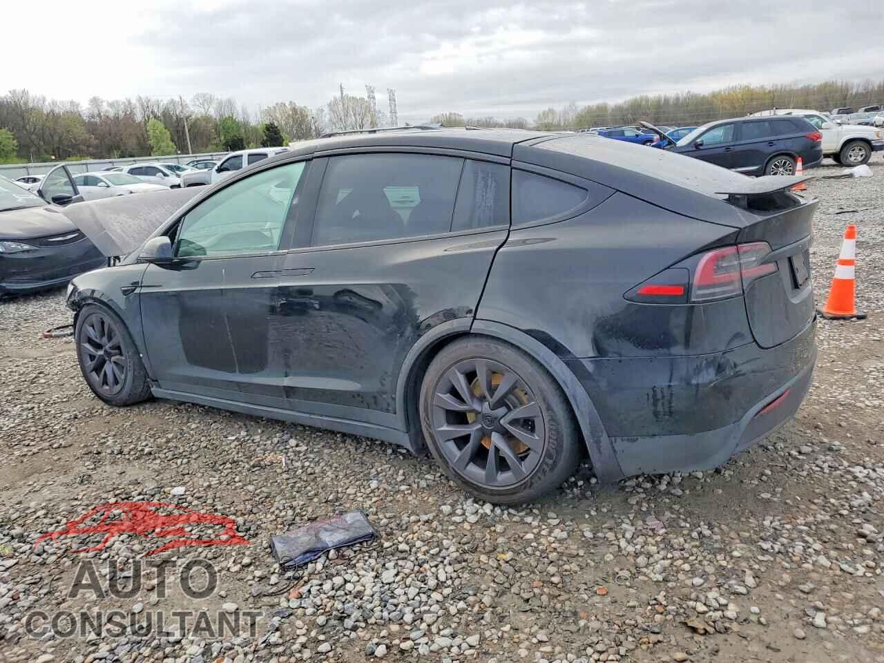 TESLA MODEL X 2024 - 7SAXCAE56RF446848