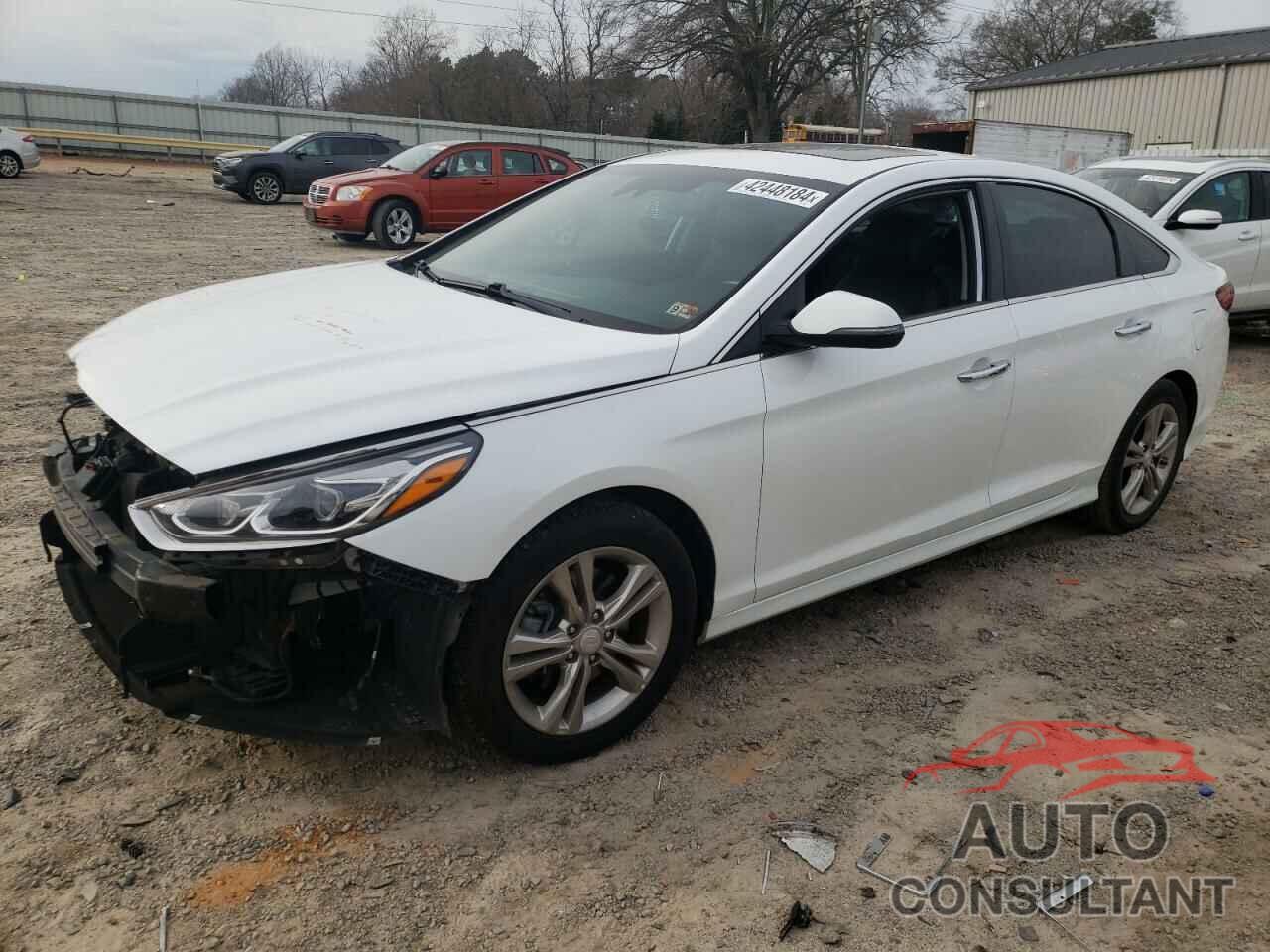 HYUNDAI SONATA 2019 - 5NPE34AF0KH774066