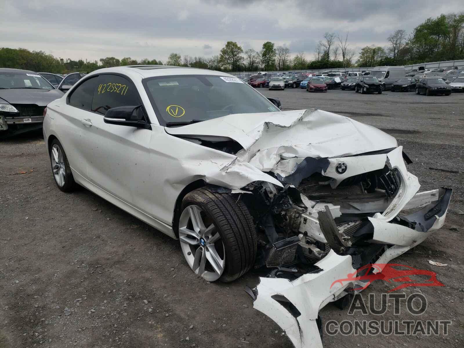 BMW 2 SERIES 2016 - WBA1G9C52GV598615