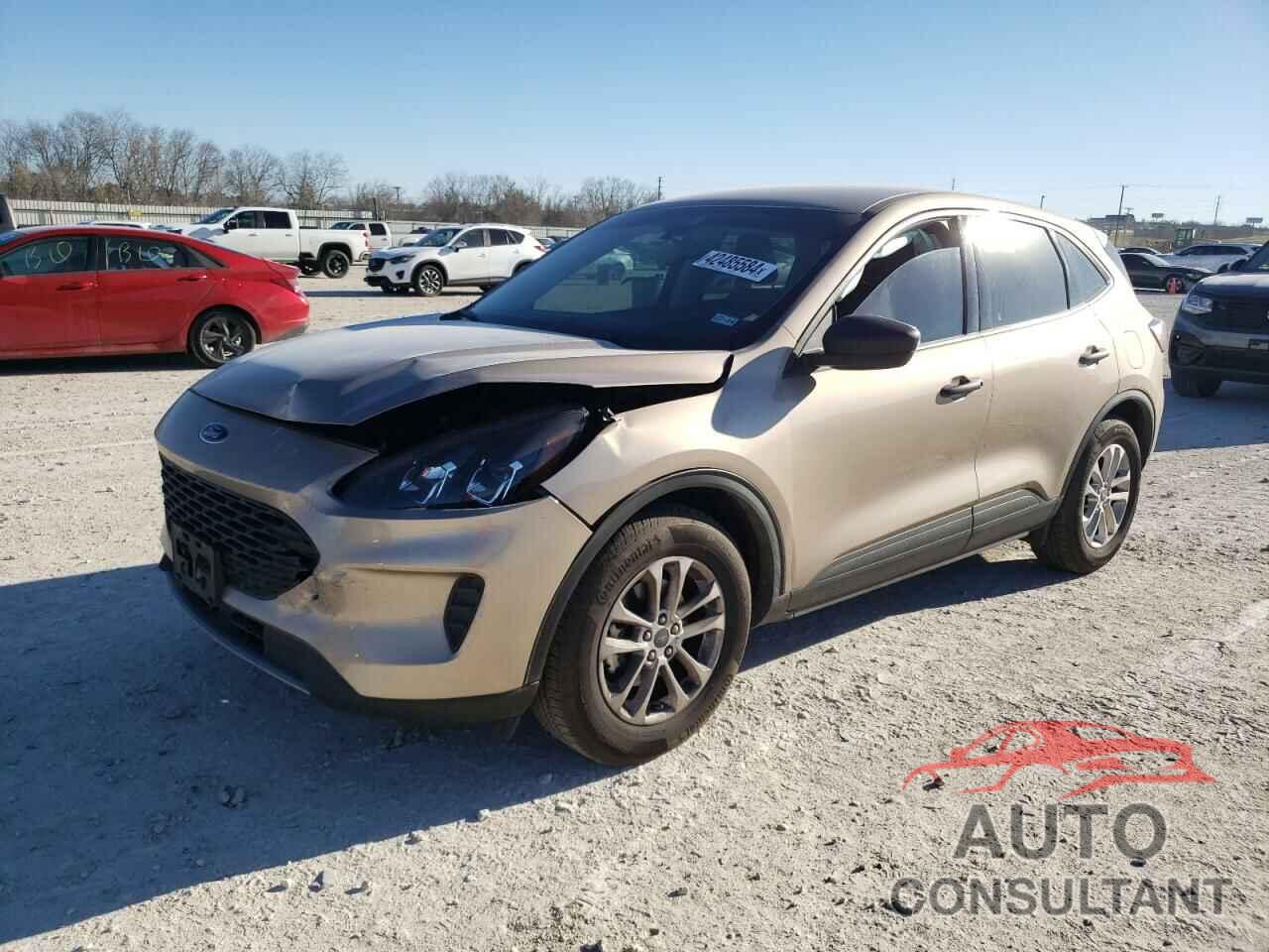 FORD ESCAPE 2021 - 1FMCU0F62MUA14229