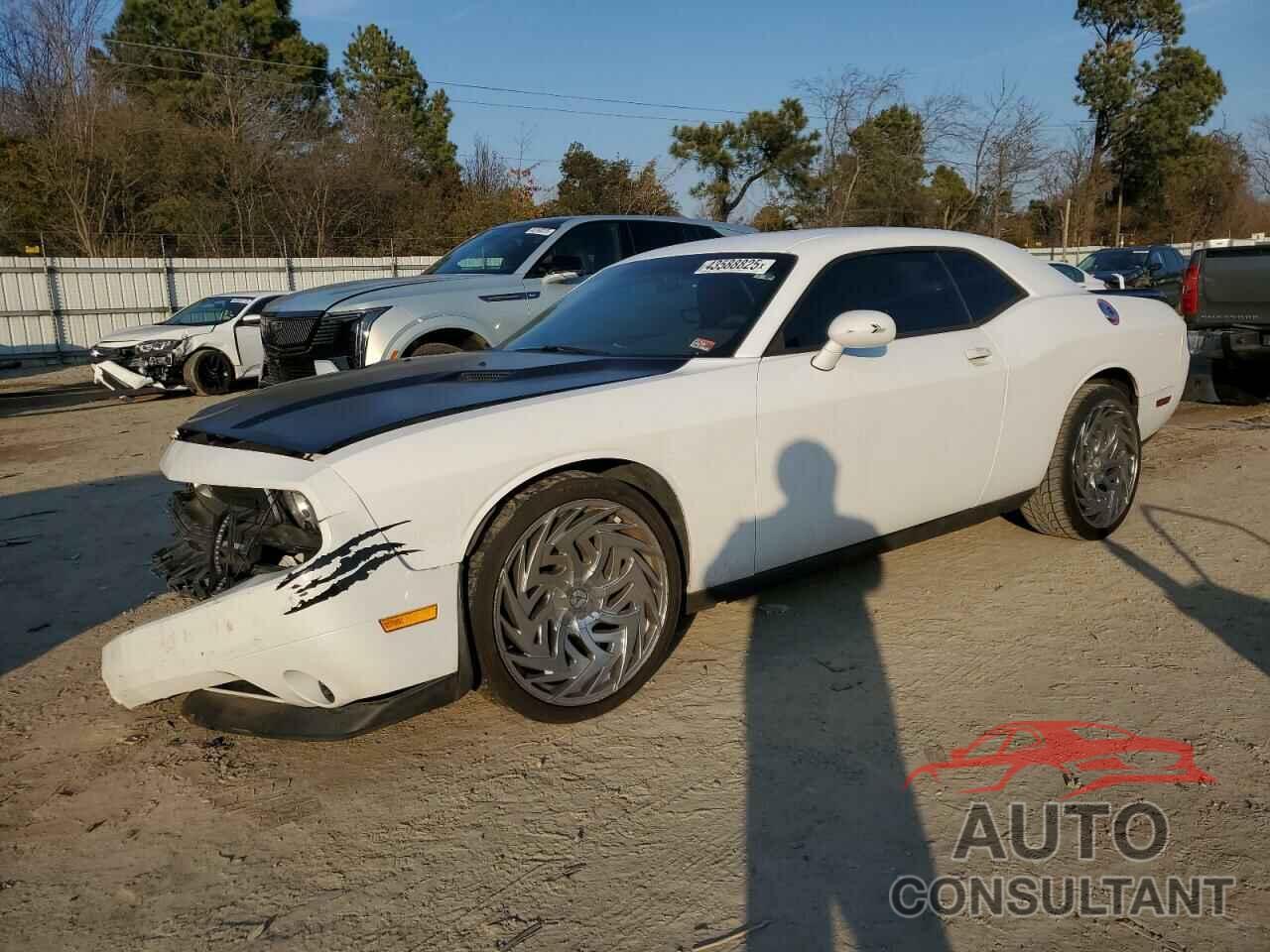 DODGE CHALLENGER 2013 - 2C3CDYAG8DH645495