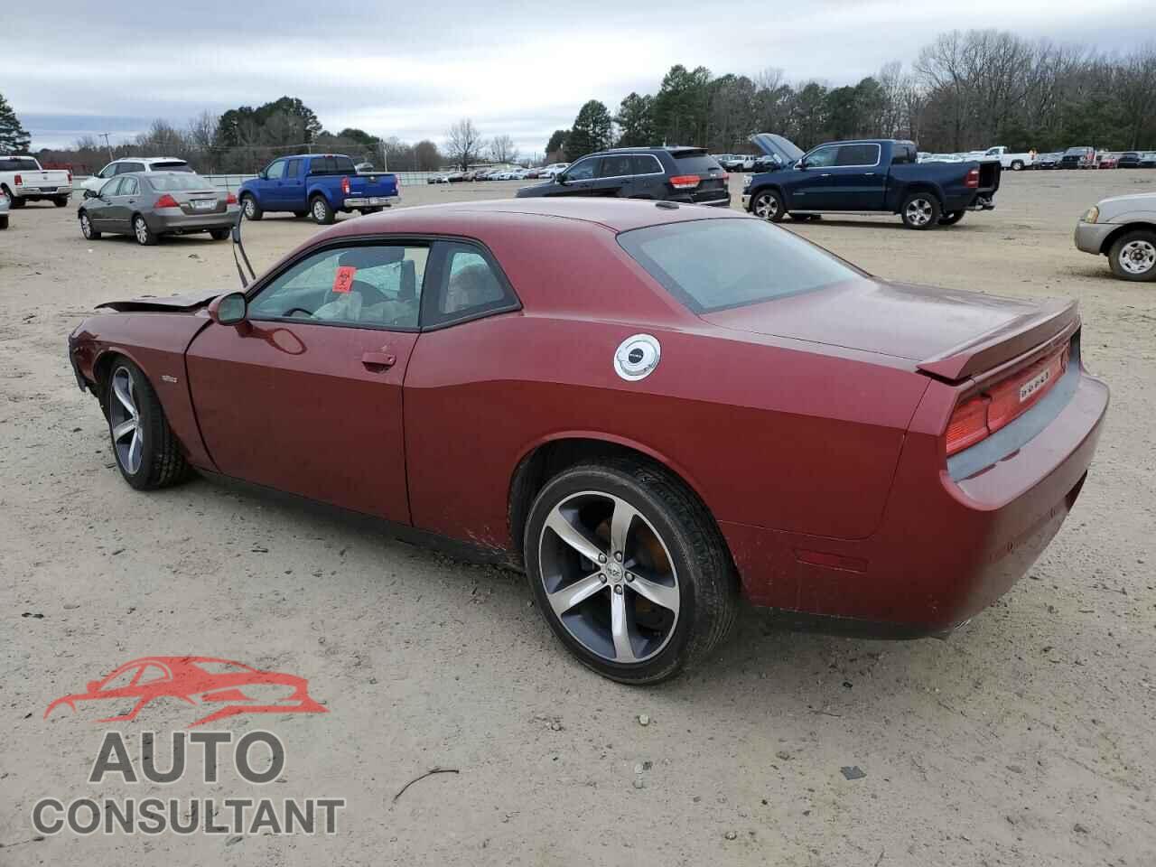 DODGE CHALLENGER 2014 - 2C3CDYAG2EH310282