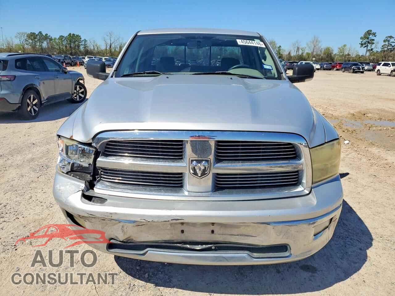 DODGE RAM 1500 2010 - 1D7RB1GP2AS141531