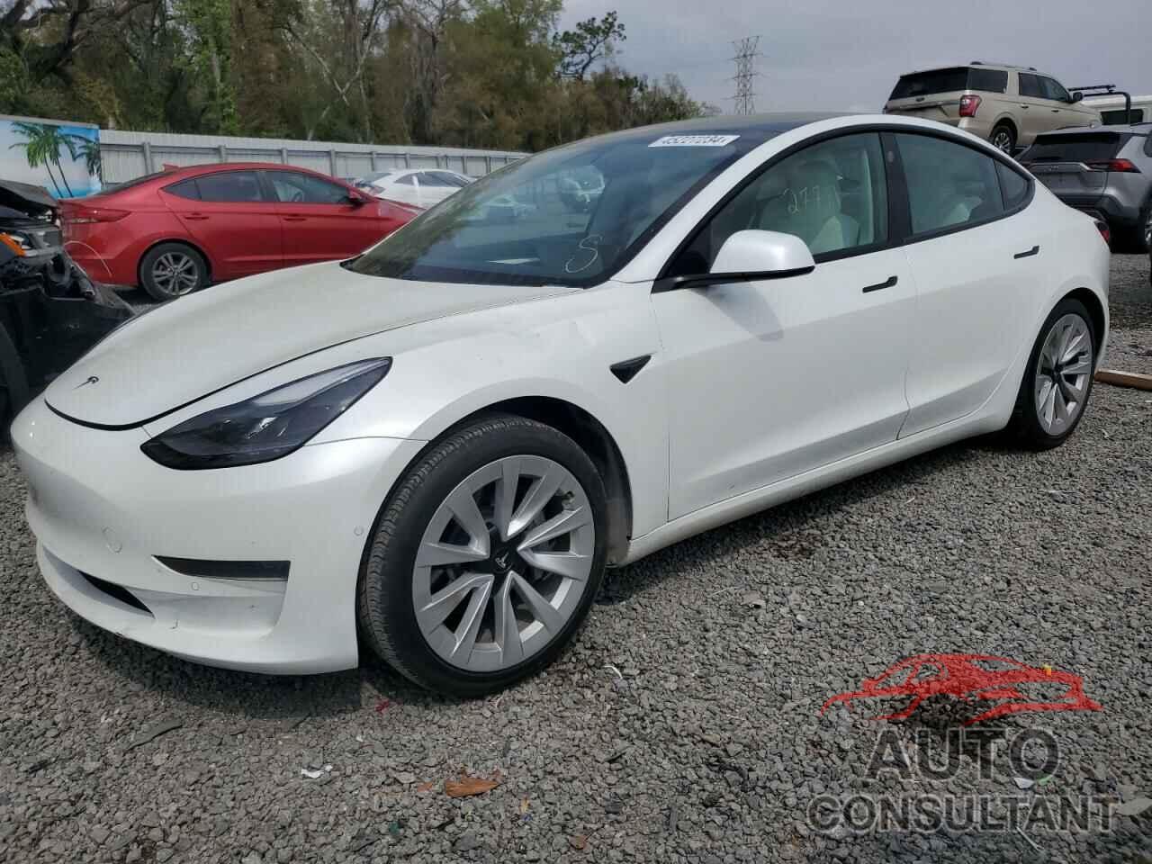 TESLA MODEL 3 2021 - 5YJ3E1EA3MF019249
