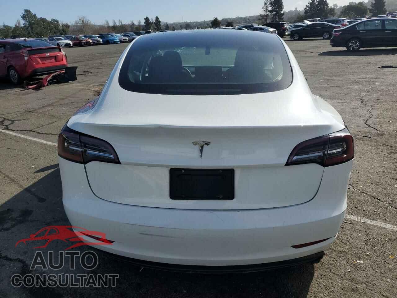 TESLA MODEL 3 2023 - 5YJ3E1EA9PF447802
