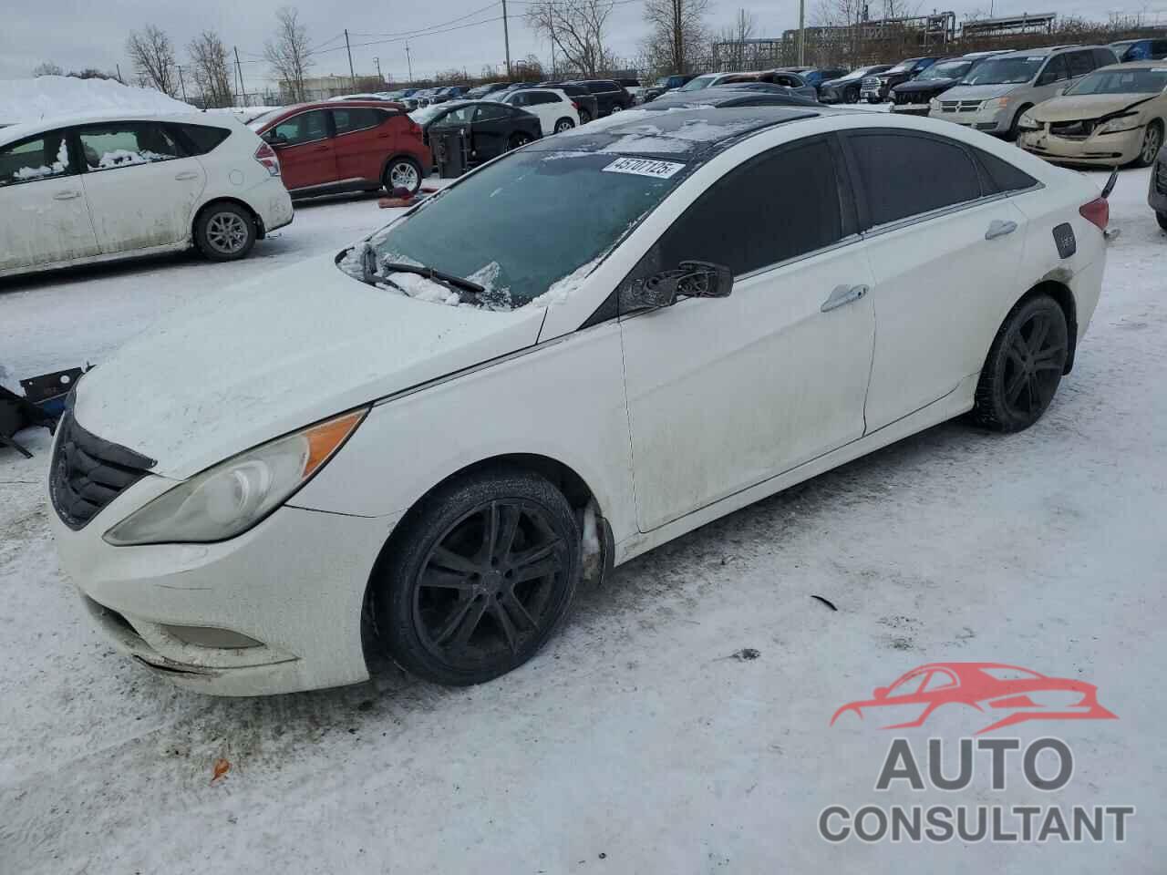 HYUNDAI SONATA 2013 - 5NPEC4AB2DH733647