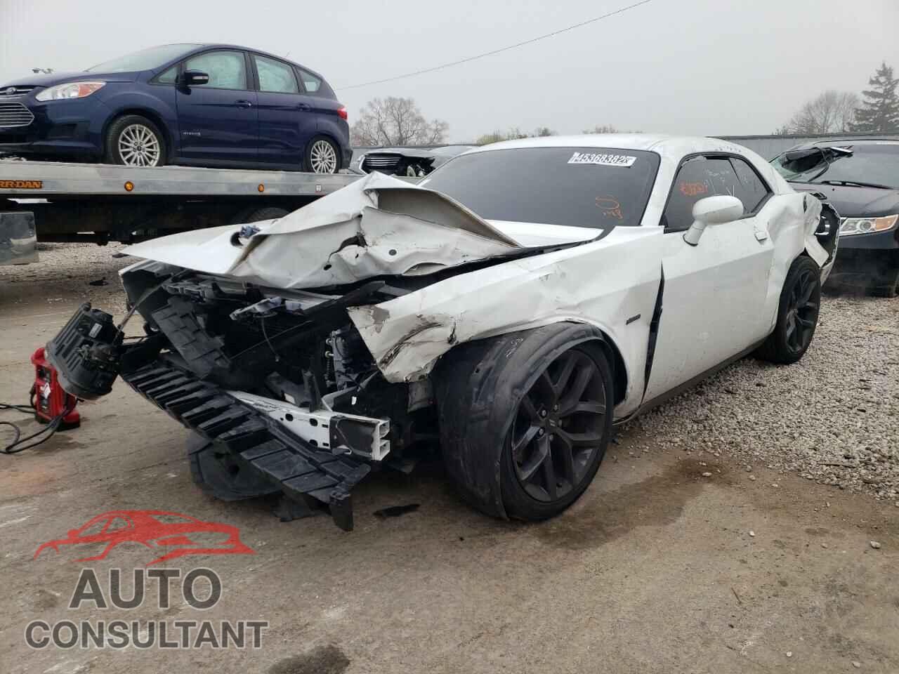 DODGE CHALLENGER 2019 - 2C3CDZBTXKH660496