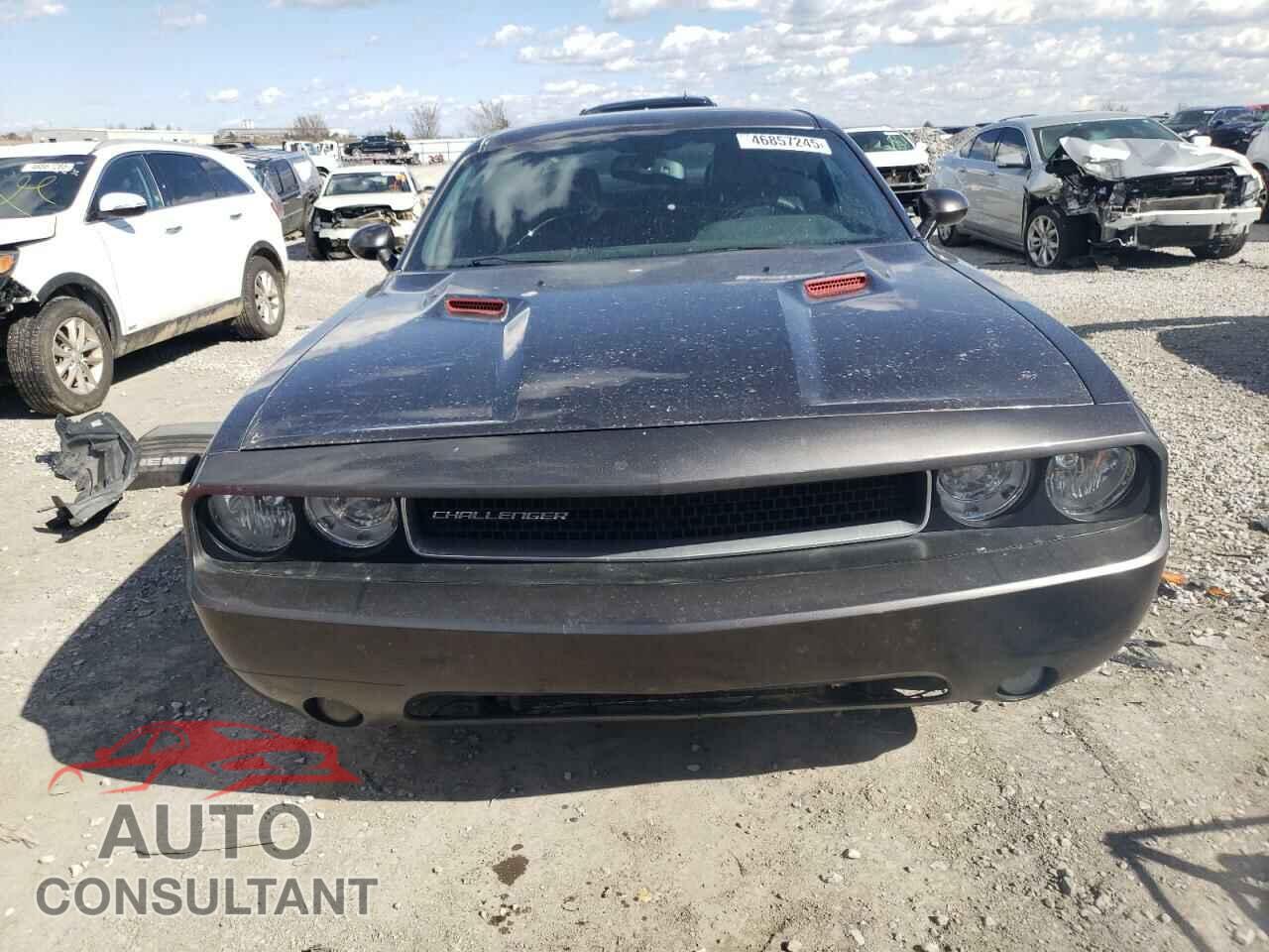 DODGE CHALLENGER 2013 - 2C3CDYBT2DH679671