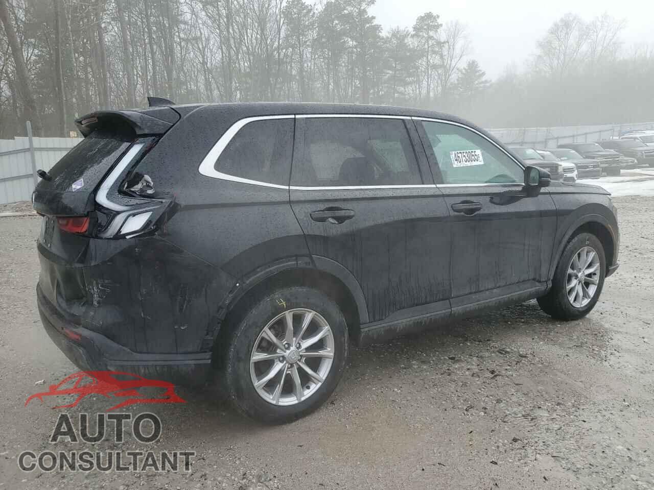 HONDA CRV 2023 - 2HKRS4H44PH430532