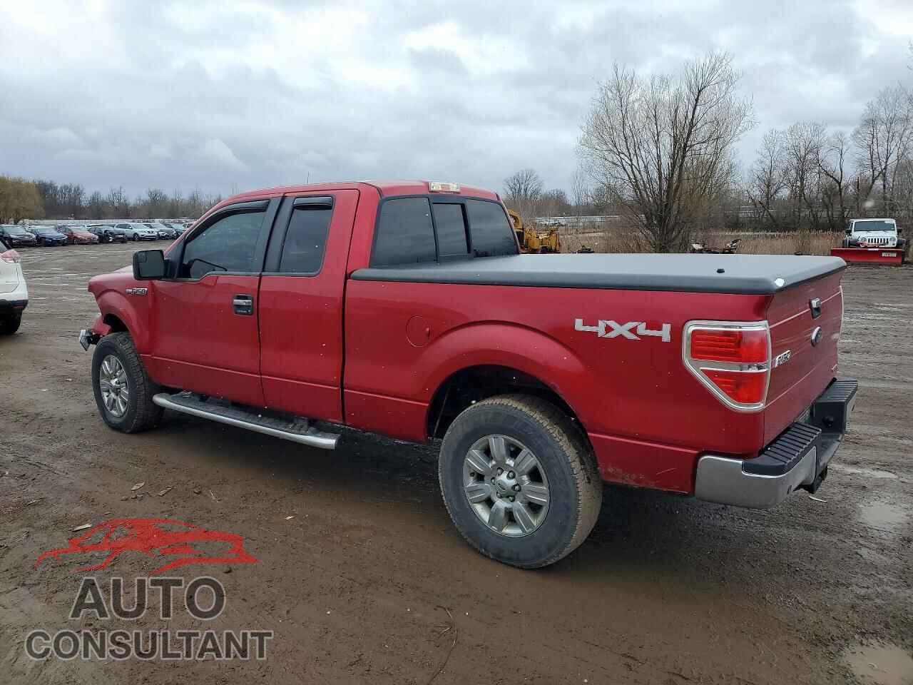 FORD F150 2011 - 1FTFX1EF6BFA36638