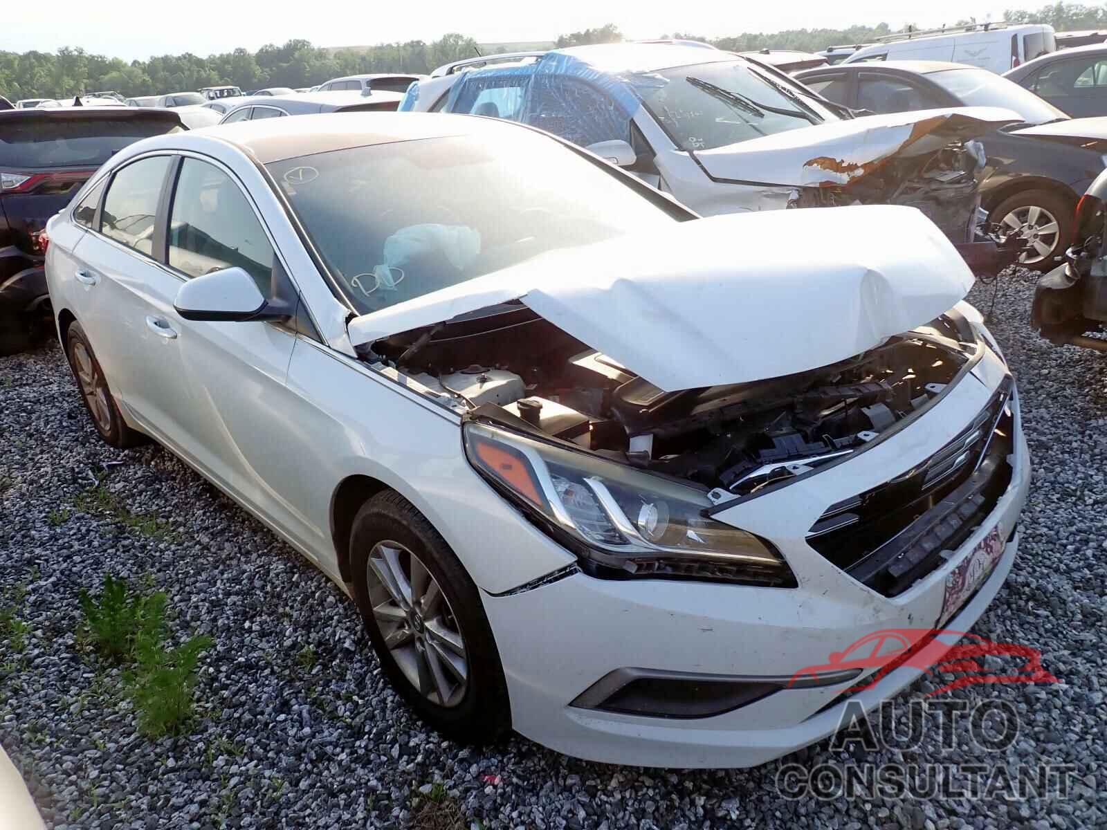 HYUNDAI SONATA 2017 - 5NPE24AF4HH534840