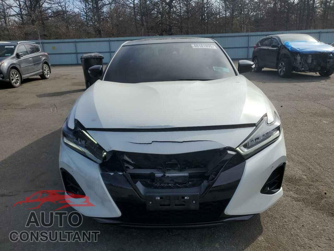NISSAN MAXIMA 2021 - 1N4AA6EV5MC516647