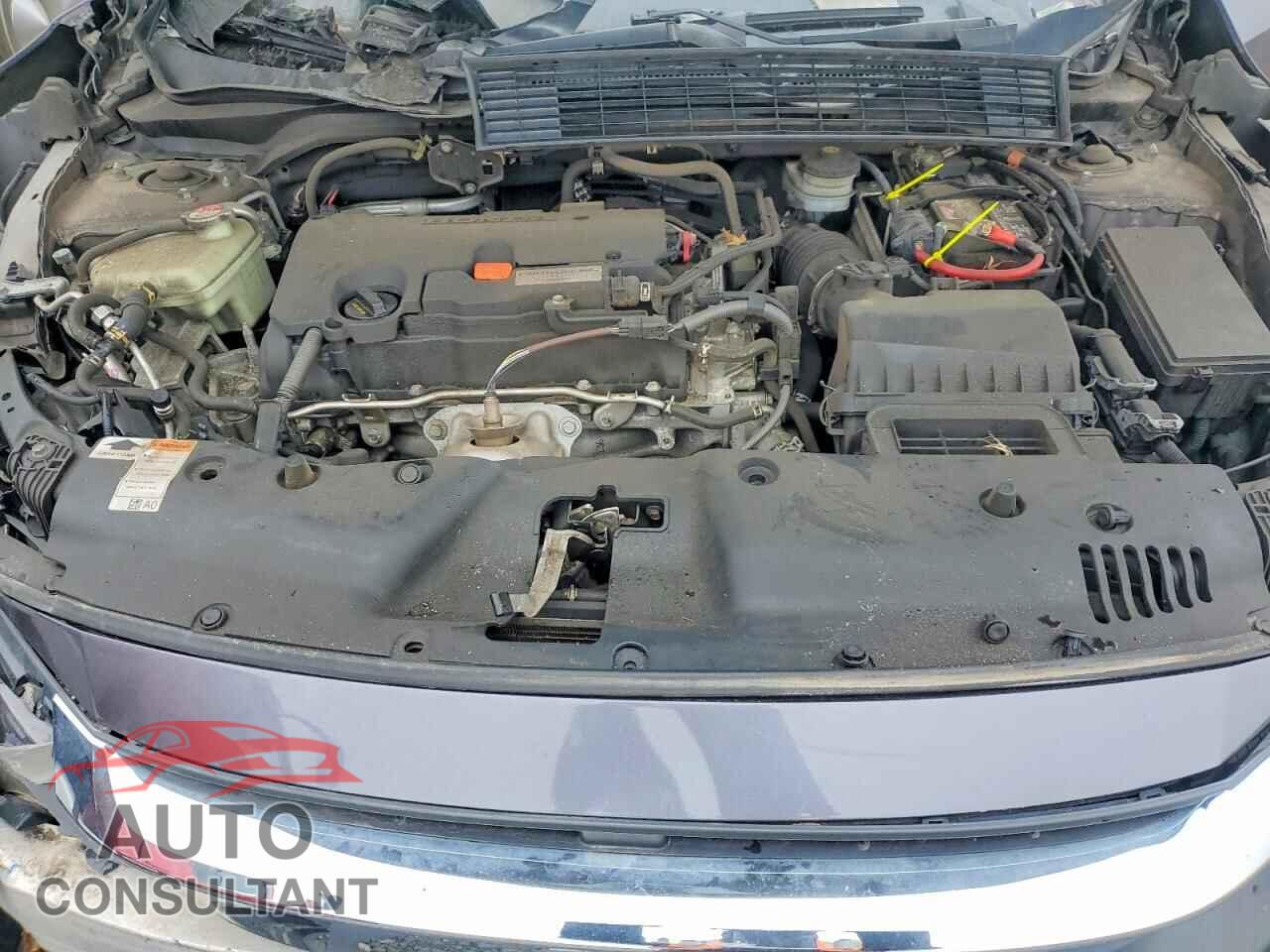 HONDA CIVIC 2017 - 19XFC2F58HE226726