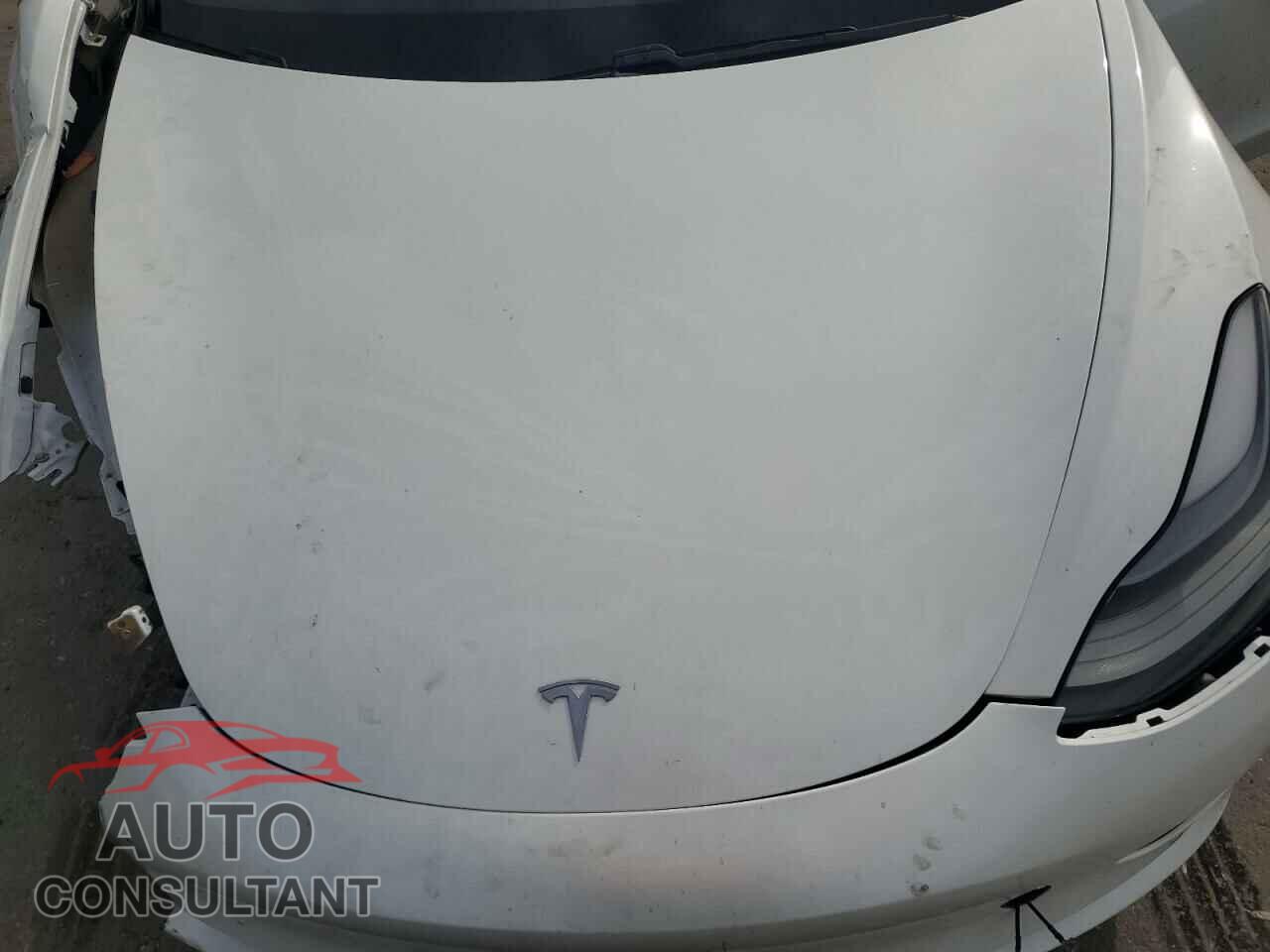 TESLA MODEL 3 2021 - 5YJ3E1EA6MF048261