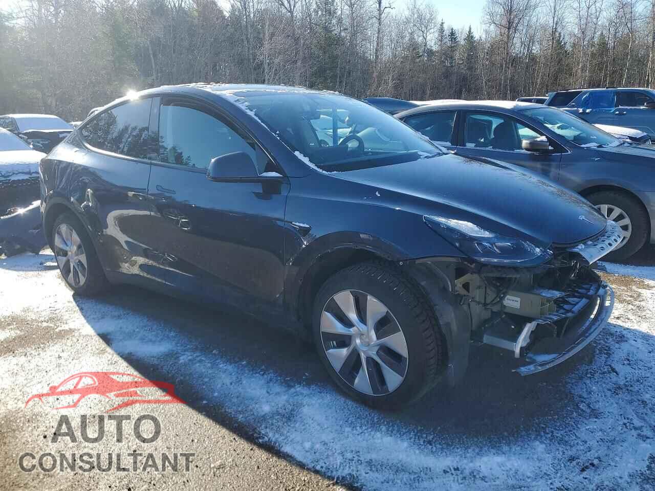 TESLA MODEL Y 2023 - LRWYGDFD5PC071930
