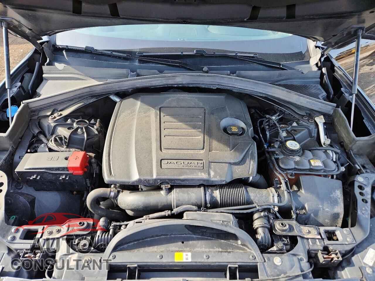 JAGUAR F-PACE 2018 - SADCK2FX9JA283389