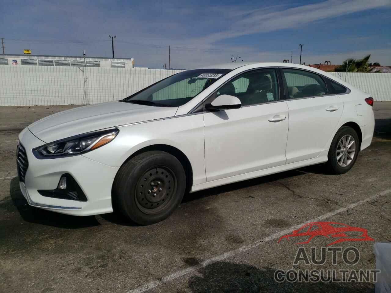 HYUNDAI SONATA 2019 - 5NPE24AF6KH782711