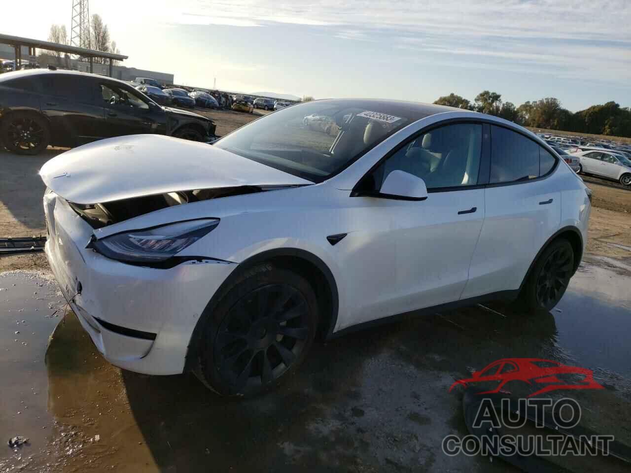 TESLA MODEL Y 2021 - 5YJYGAEE7MF232708