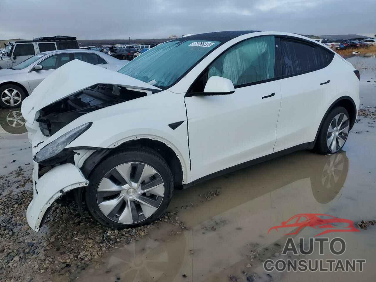 TESLA MODEL Y 2023 - 7SAYGDEE1PF600356