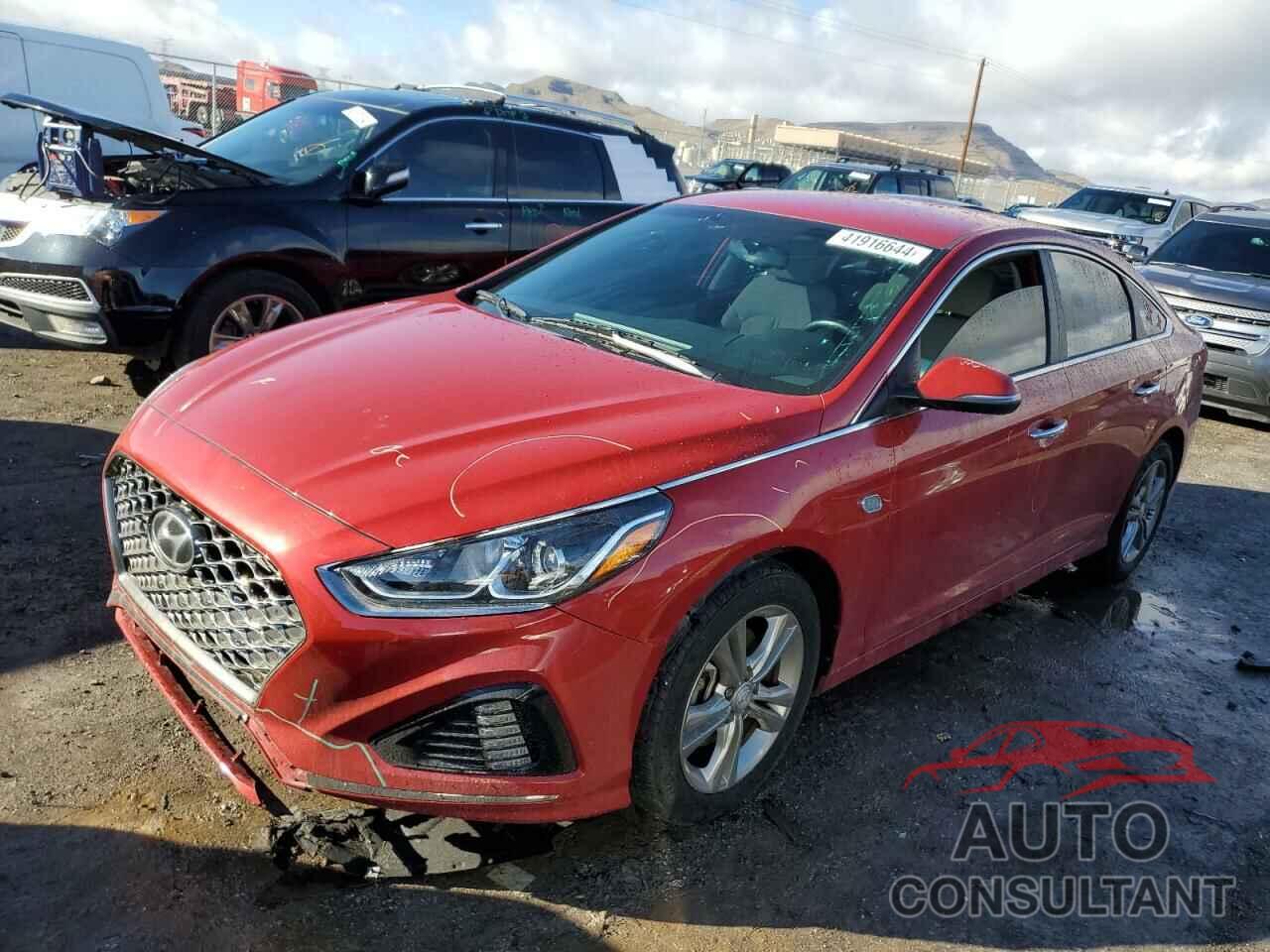 HYUNDAI SONATA 2019 - 5NPE34AF7KH794105