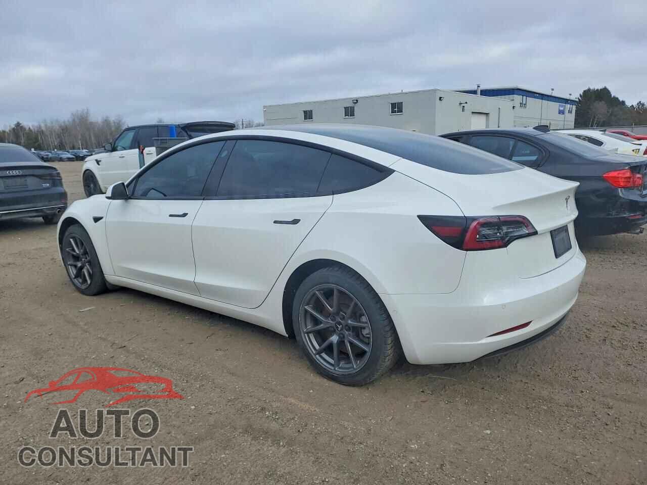 TESLA MODEL 3 2021 - 5YJ3E1EA3MF031983