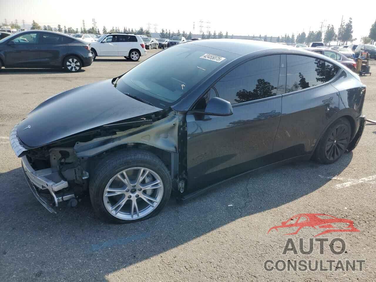 TESLA MODEL Y 2024 - 7SAYGAEE0RF018427