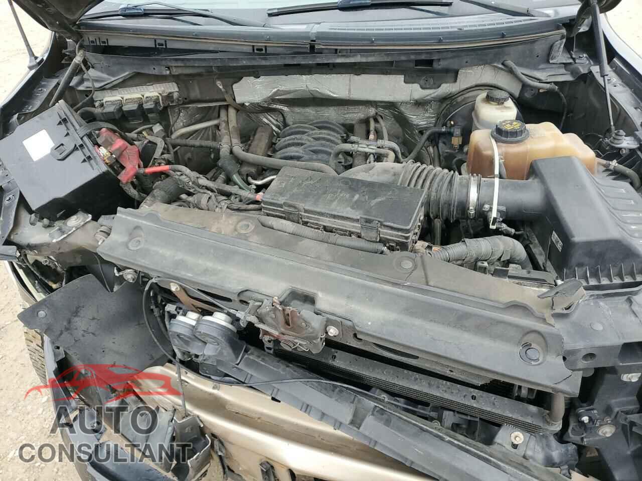 FORD F-150 2013 - 1FTFW1CF5DKD35828