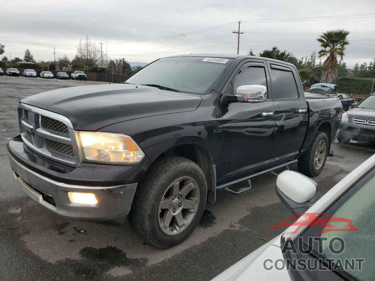 DODGE All Models 2011 - 1D7RV1CTXBS520806