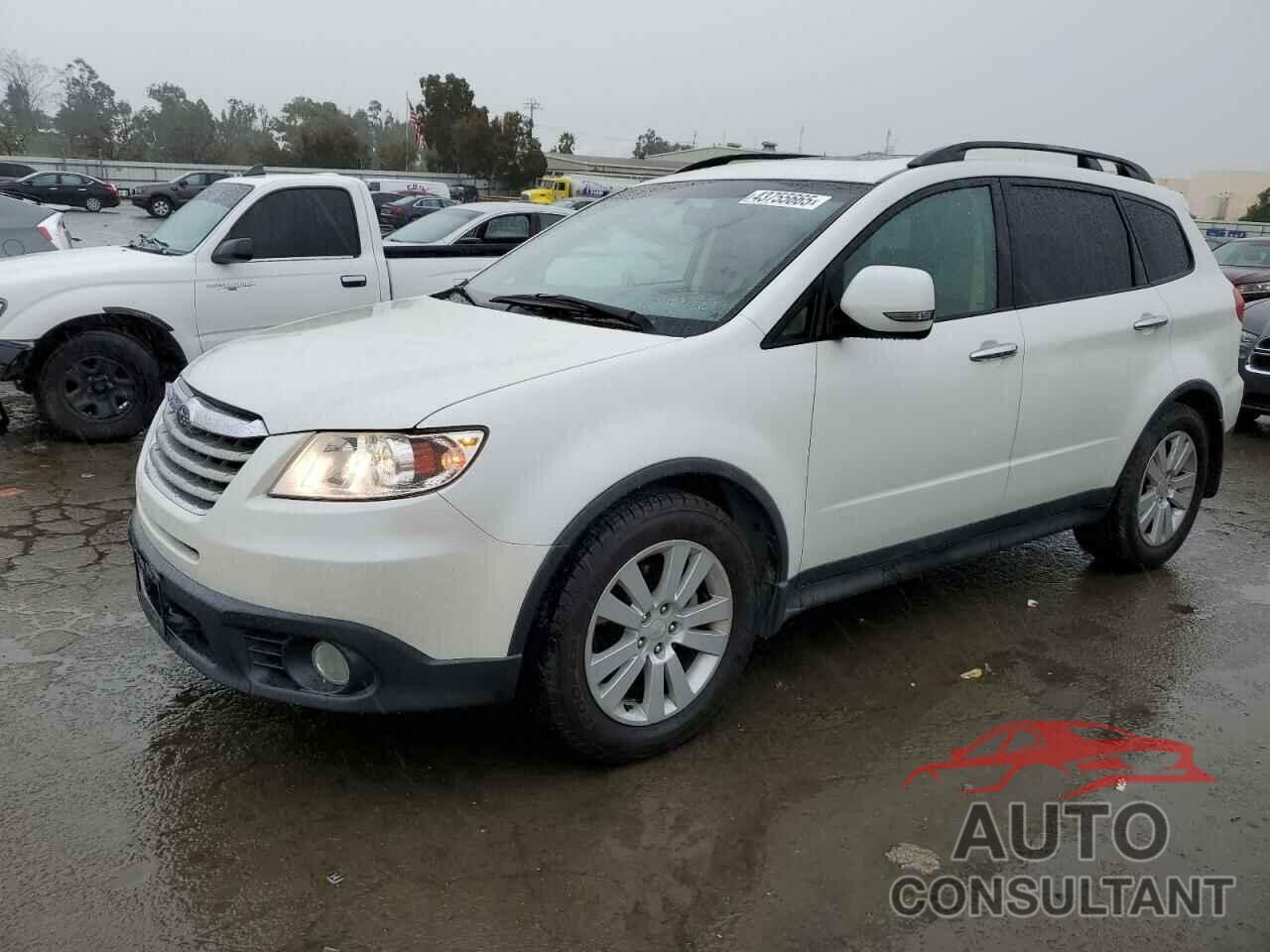 SUBARU TRIBECA 2009 - 4S4WX90D094400753