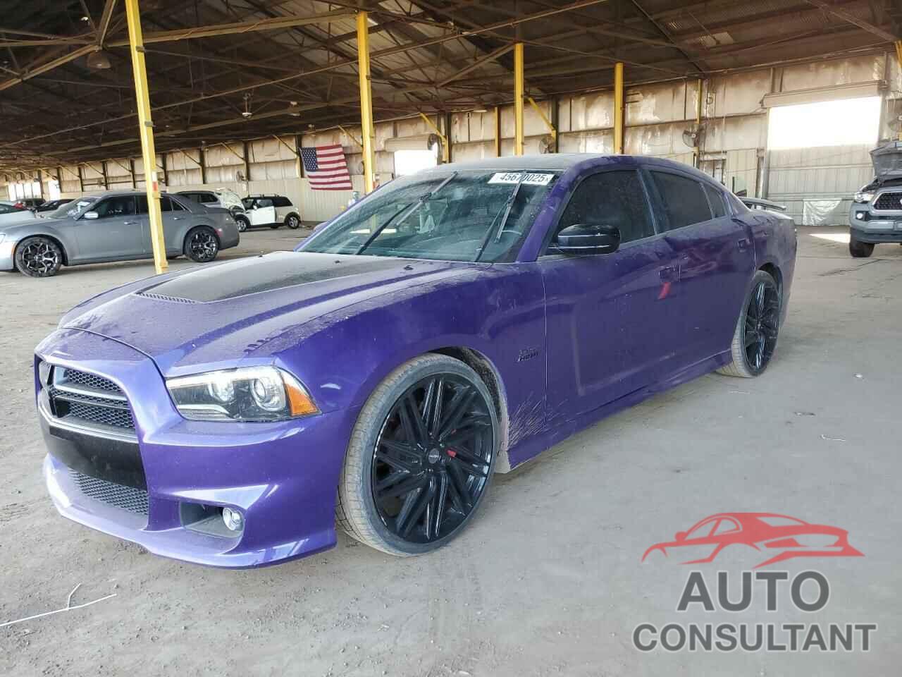 DODGE CHARGER 2013 - 2C3CDXEJ8DH744611