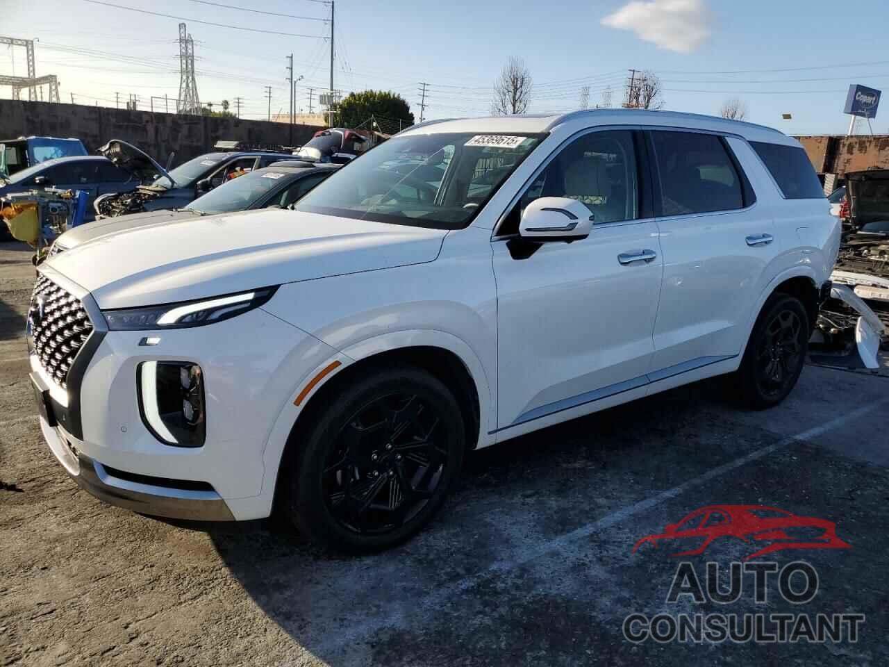 HYUNDAI PALISADE 2022 - KM8R74HE0NU385307