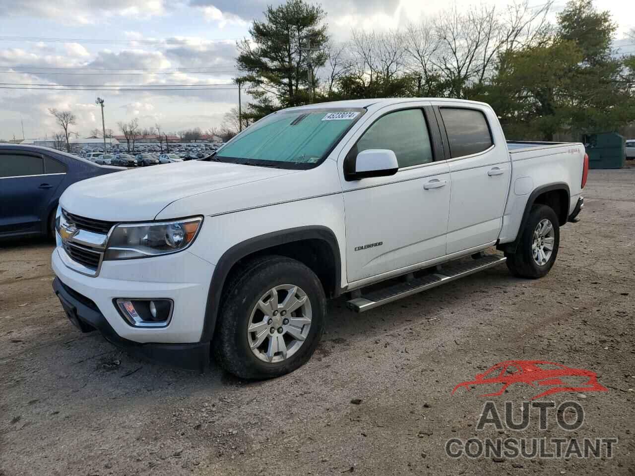 CHEVROLET COLORADO 2016 - 1GCGTCE31G1354589