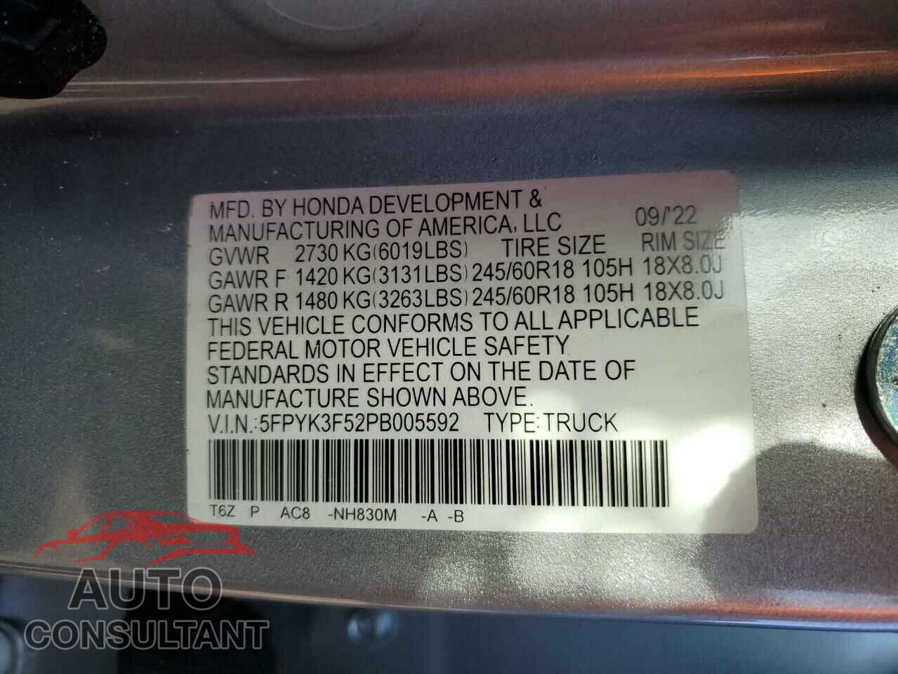 HONDA RIDGELINE 2023 - 5FPYK3F52PB005592