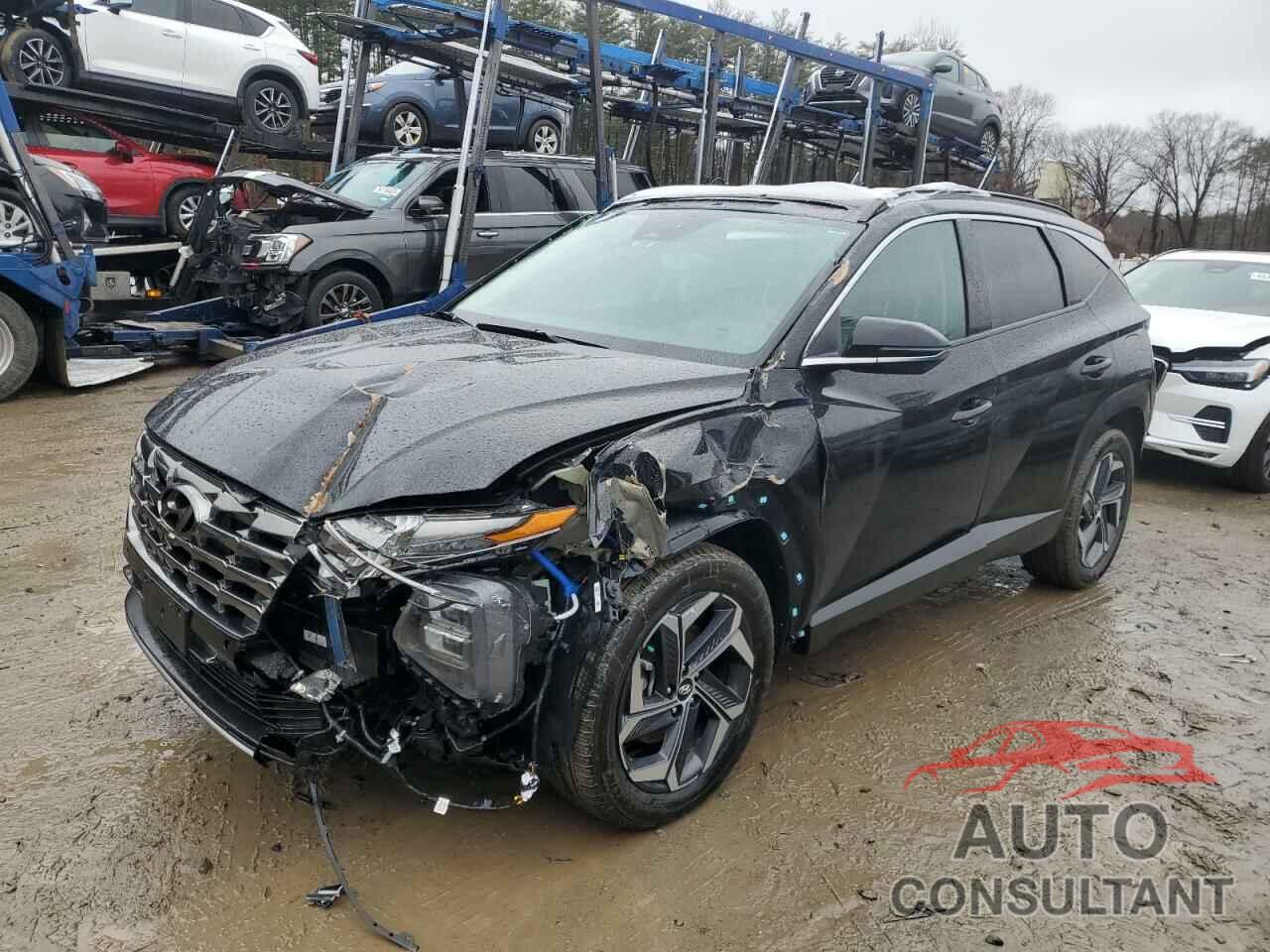 HYUNDAI TUCSON 2023 - KM8JECA13PU134045