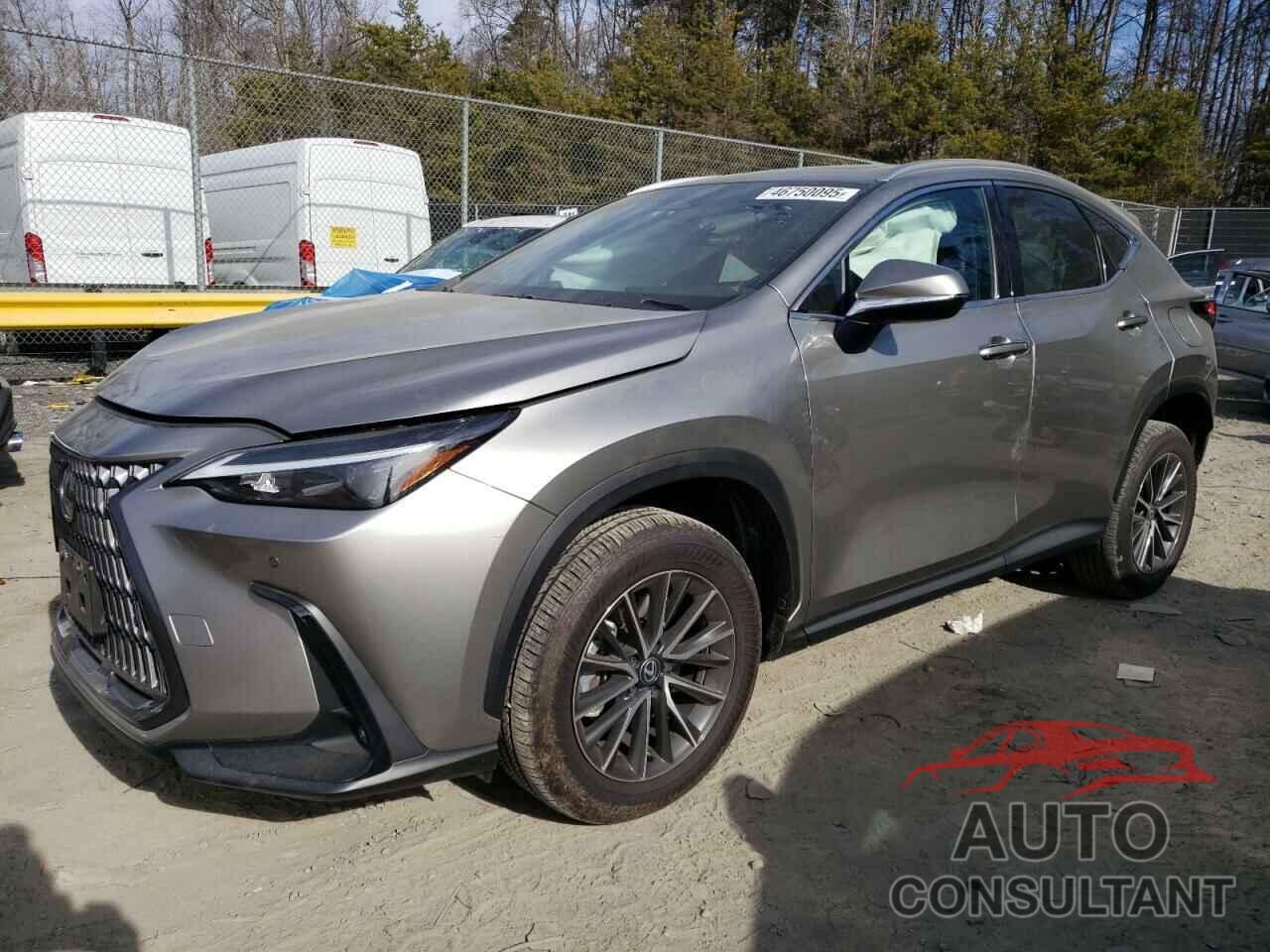 LEXUS NX 350 PRE 2024 - 2T2GGCEZ5RC052418