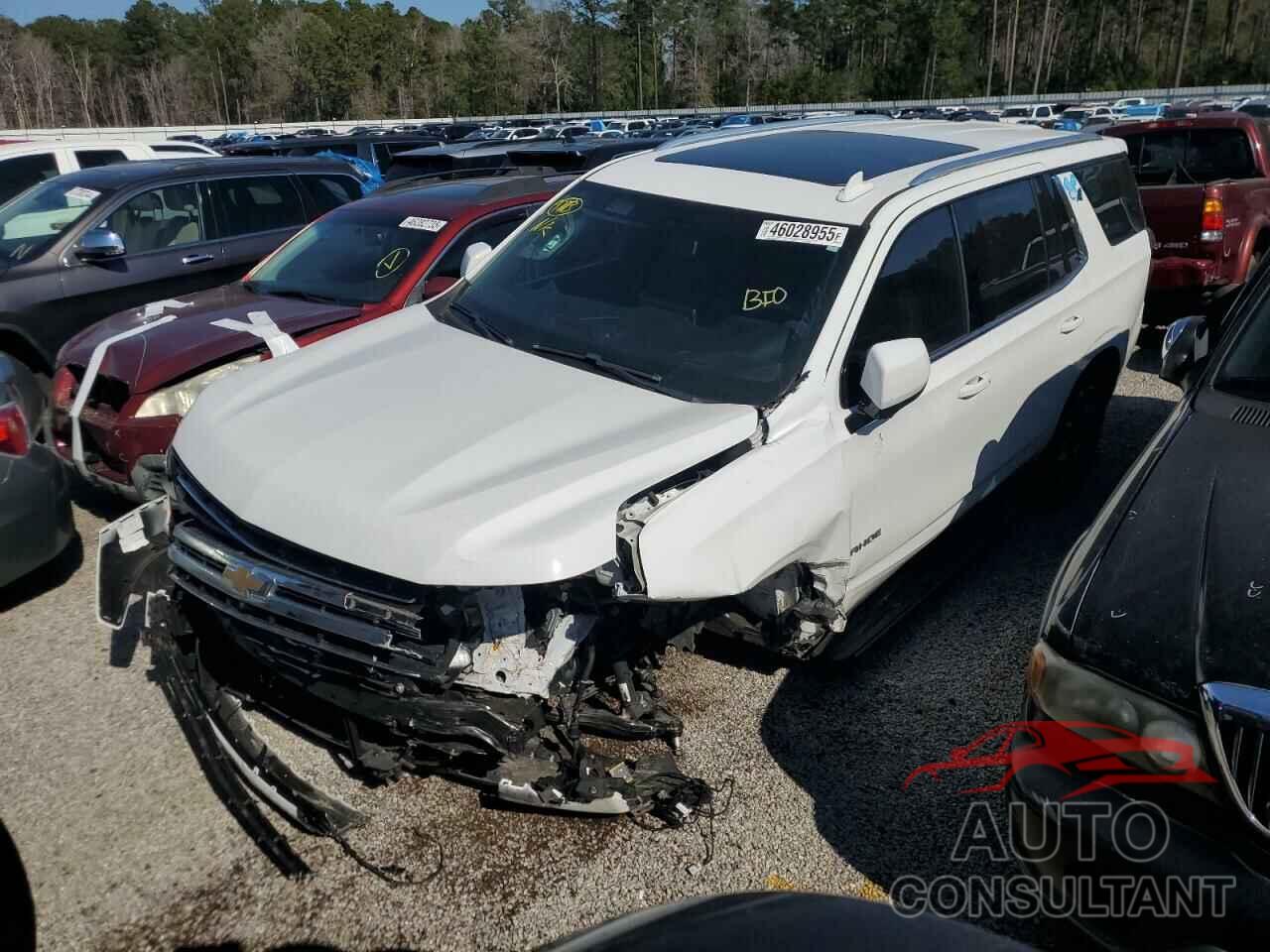 CHEVROLET TAHOE 2022 - 1GNSCNKD6NR308118