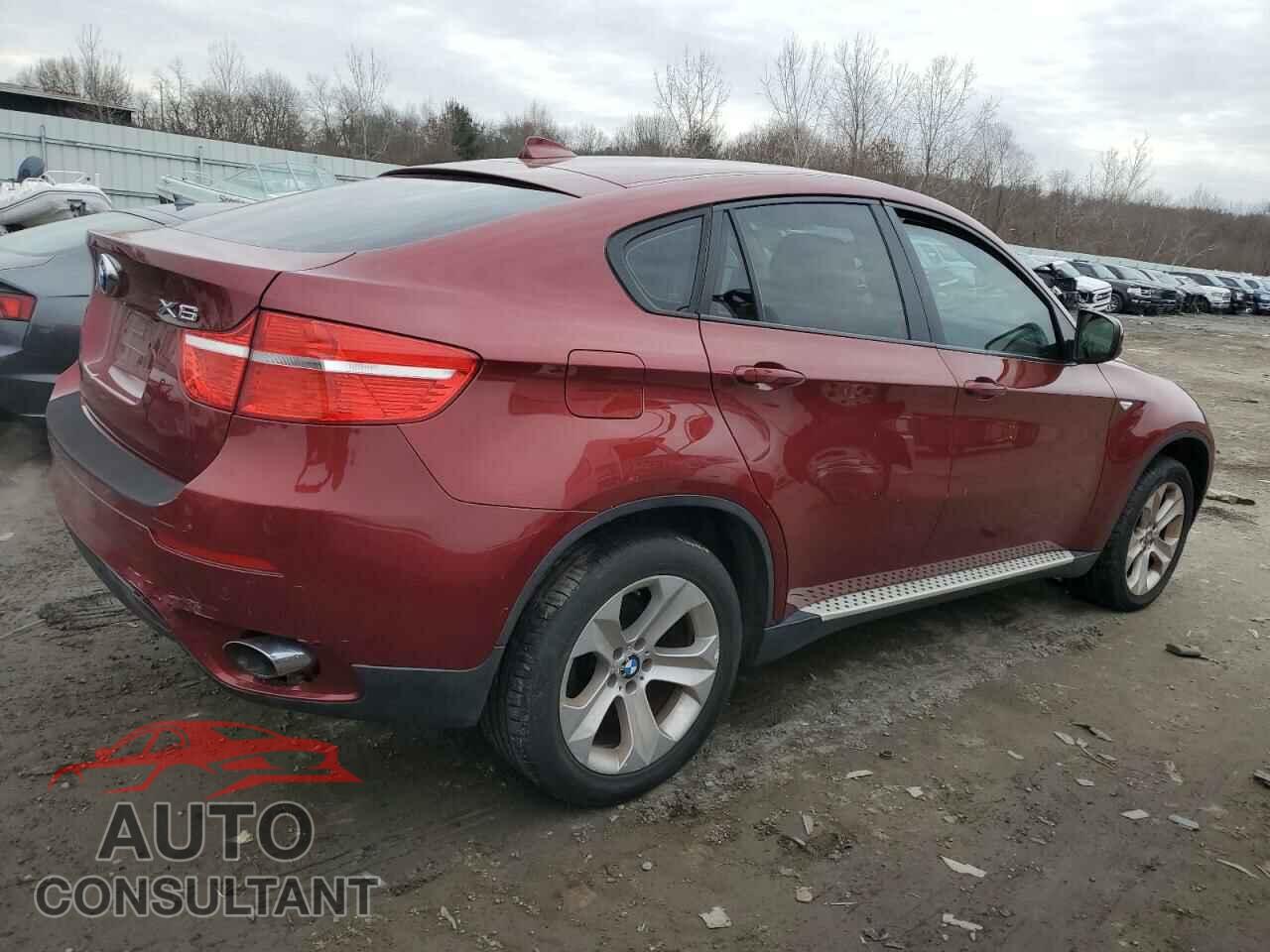 BMW X6 2011 - 5UXFG2C51BLX08105