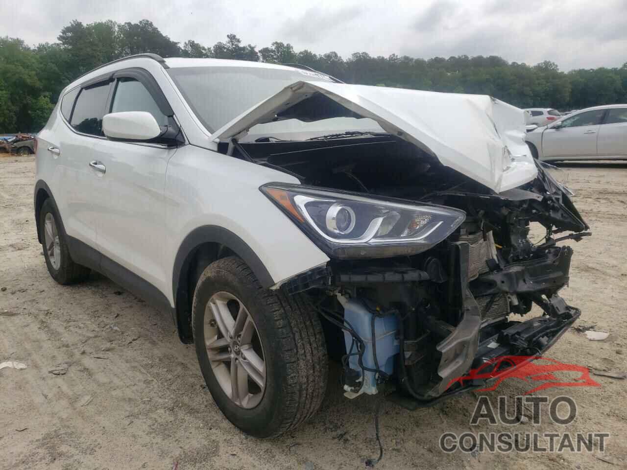 HYUNDAI SANTA FE 2017 - 5XYZUDLB9HG418823