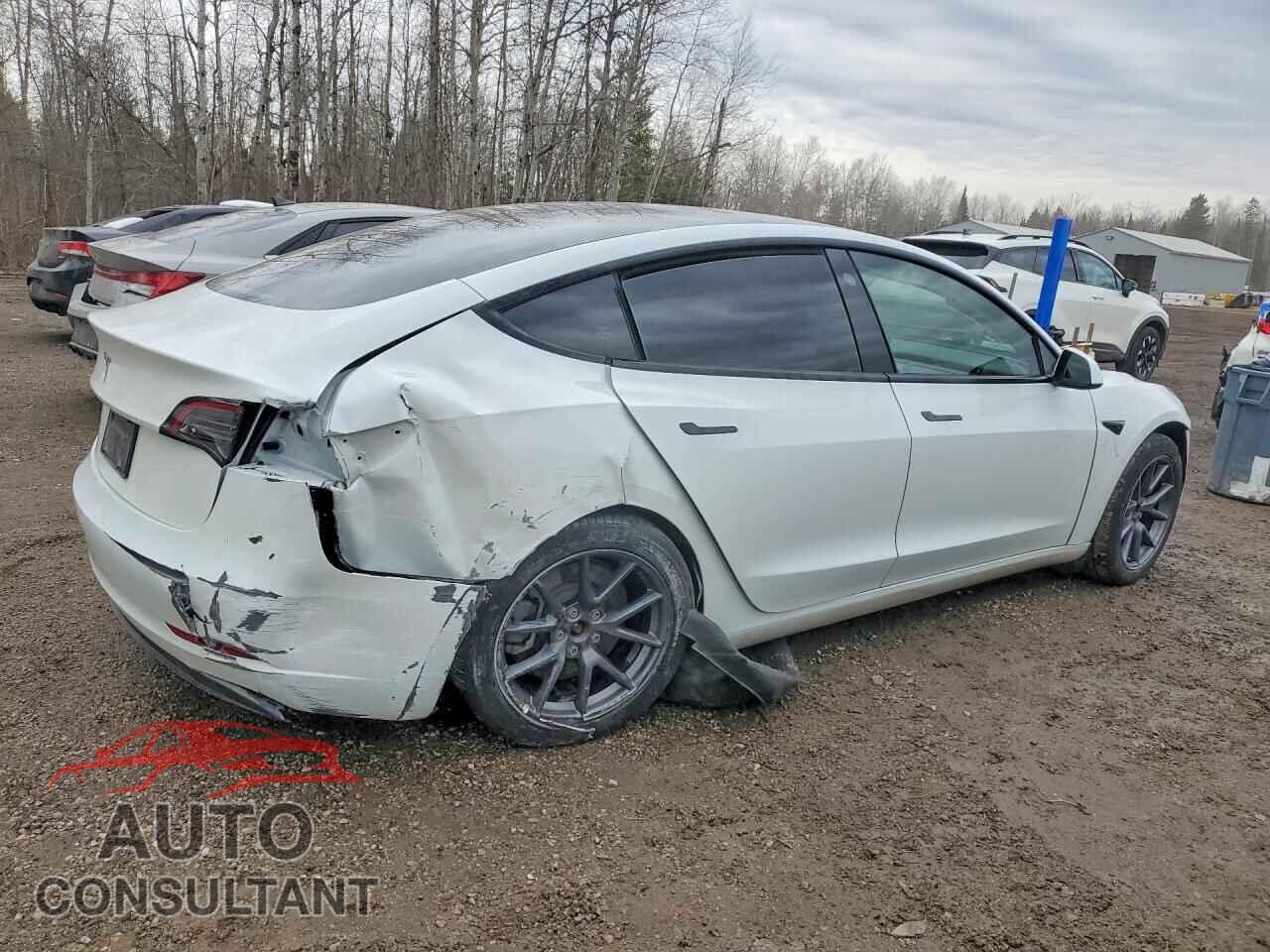 TESLA MODEL 3 2023 - LRW3E1FA0PC845232