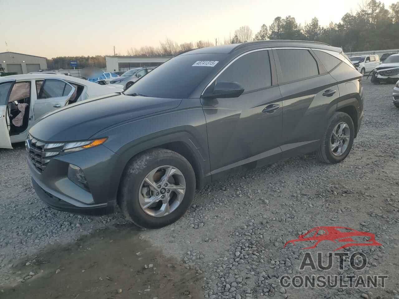 HYUNDAI TUCSON 2023 - KM8JB3AE2PU242801