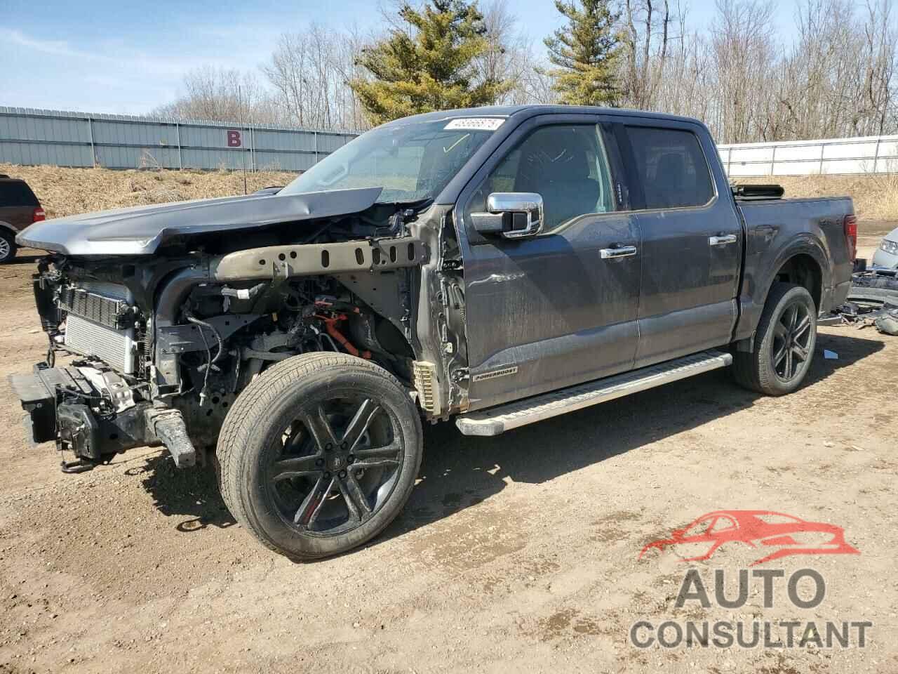 FORD All Models 2024 - 1FTFW3LD1RFA33141