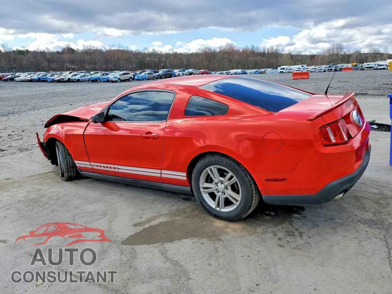 FORD MUSTANG 2011 - 1ZVBP8AM8B5103237